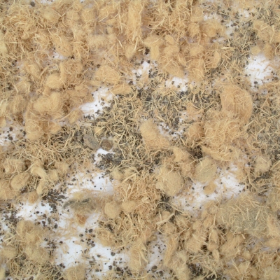 w-M.sepGRF_materials_1_REJECTED-MATERIAL