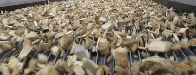 w-M.vagVR_chips-on-the-disk-roller-screen